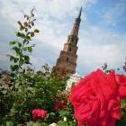 DSCN9629.JPG