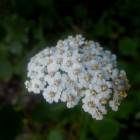 DSCN0326.JPG