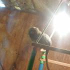 DSCN4827.JPG