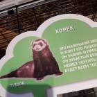 Контактный зоопарк. Казань.75611