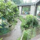 DSC05978.JPG
