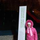 IMG_20171111_181535
