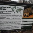 DSCN4887.JPG