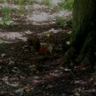 DSCN1654.JPG