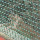 DSCN0252.JPG