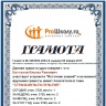 Мои достижения в интернет конкурсе