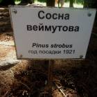 DSCN1595.JPG