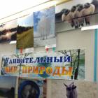 Удивительный мир природы100778