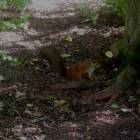 DSCN1655.JPG