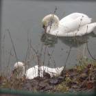 DSCN4935.JPG