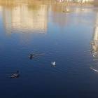 20191025_144413