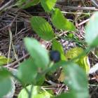 IMG_3714.JPG