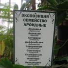 DSCN4783.JPG