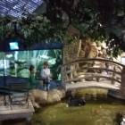 IMG_20171112_192334