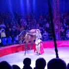 DSC07406.JPG