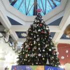 DSCN7050.JPG
