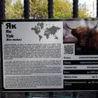 Як. Зооботанический сад. Казань.78152