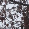 DSC04467.JPG