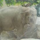 DSCN0143.JPG