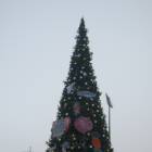 DSCN7014.JPG