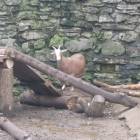 DSCN4953.JPG