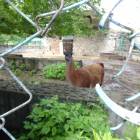 DSC05951.JPG