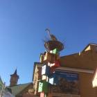 IMG_4170.JPG