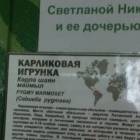 Казанский зооботсад92785
