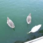 DSCN4589.JPG