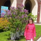 DSCN8436.JPG