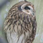 DSCN5024.JPG