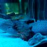 IMG_20160828_103436
