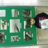DSC03968.JPG