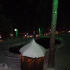 DSC01779.JPG