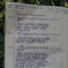 уку көндәлеге 174441