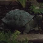 DSCN4799.JPG