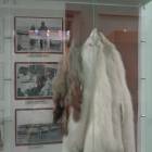 Музей Арктики и Антарктики г. Санкт-Петербург 16.JPG