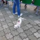 20170708_180618