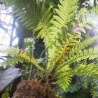 DSCN4796.JPG