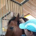 20170626_104331