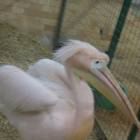 DSCN4966.JPG
