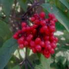 DSCN1677.JPG