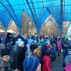 дружно на зеленый фитнес90255