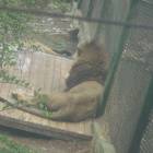 DSCN0220.JPG