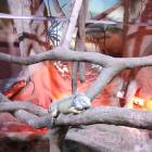 IMG_20171112_185019