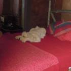 DSCN6729.JPG