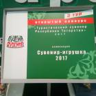 АРТ-галерея. Казань 2017113923