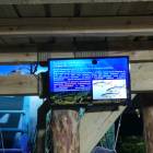 IMG_20171112_192528