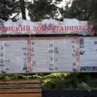 Сурикат. Зооботанический сад. Казань.78396