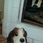 DSC04345.JPG